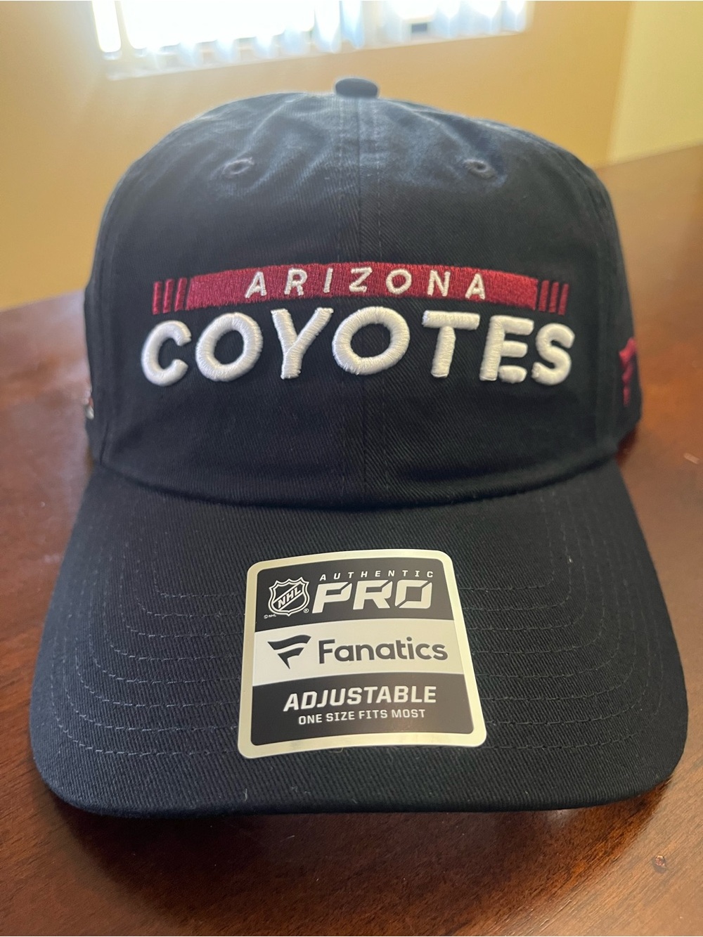 Arizona Coyotes Hat Fanatics Dad Hat Style Nwt